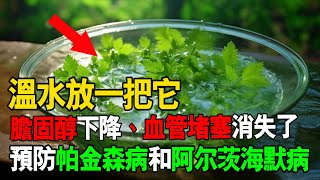 溫水里放一把它，可以預防帕金森病和阿尔茨海默病！膽固醇下降、血管堵塞也消失了！