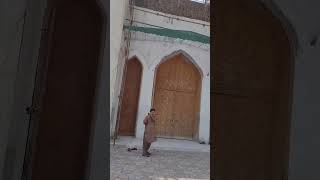 Entrance/Markazi Jama Masjid & Imambargah Asthna Asthari/Islamabad Downtown