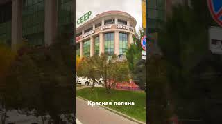 Красная поляна осенью #краснаяполяна #sochi