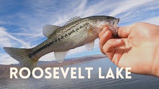 Fall Fishing at Roosevelt Lake AZ