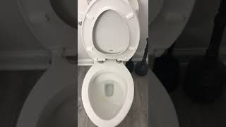 Loose toilet seat fix for newer style seats