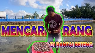 Mencari Kerang di Pantai Beteng Karimunjawa