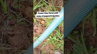 Power your farm with solar-pumped irrigation