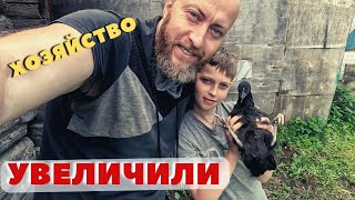 Купили землю! Увеличили хозяйство в 4 раза! Пацанчики на пляже... Забрали инструмент, но и пофиг