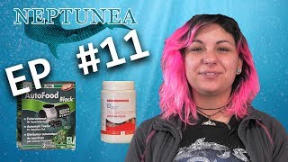 NEPTUNEA Vlog EP11 - Nourrir ses poissons