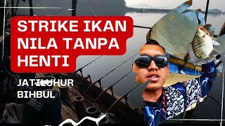 MANCING JATILUHUR SPOT BIHBUL || STRIKE IKAN NILA TANPA HENTI ||