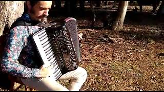 How deep is your love (Bee Gees) accordion cover