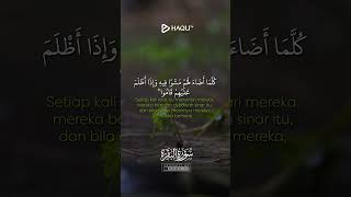 Murottal Merdu || Surat Al Baqarah 20 || Ustadz Ro'fa El Hamiem #shorts