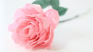 Crepe Paper Peony