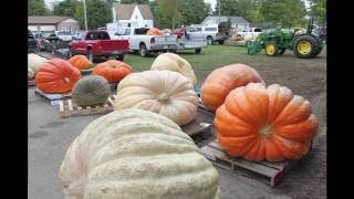 Port Elgin Pumpkinfest 2016