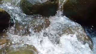 Relaxation - Relaxing Nature For Sleep - Relaxing River Sounds - Healing Heart