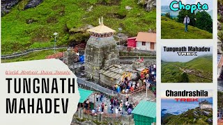 Tungnath Temple Trek | Journey to the World's Highest Shiva Shrine | Tungnath & Chandrashila Trek