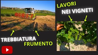 SENZA SOSTA | Weekly Vlog Parte 2