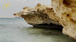 The Sunken Greek Ship behind beach rock red sea