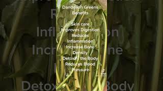 Dandelion Greens Benefits  #shorts