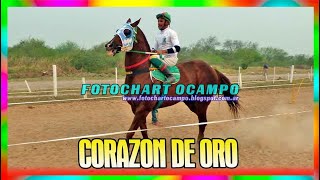 CORAZON DE ORO   Pirane   Formosa 22 09 2024