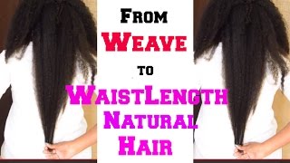 Weave To Waistlength Natural Hair - My Hairstory