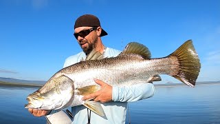 Sight casting monster barramundi