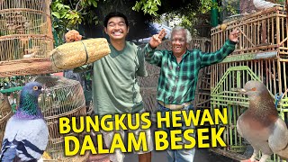 BUNGKUS HEWAN DALAM BESEK BUAT DIBAWA PULANG DARI PASAR HEWAN YOGYAKARTA PASTY!