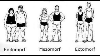 Tipurile somatice explicate pe intelesul tuturor / Genetic in culturism