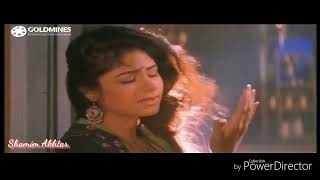 Beshak Tum Meri Mohabbat Ho ((Jhankar)) Sangram 1993 - Kumar Sanu, Alka Yagnik, Kavita Krishnamurthy