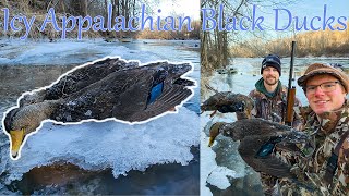 Black Ducks Were EVERYWHERE on This Icy River. Waterfowl Hunting the Appalachians! Public Land