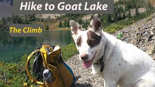 Olympic National Forest: Goat Lake Trail (Dog Friendly)