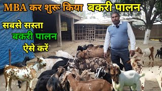 MBA बकरी वाले 20 बकरी किया 60 बकरी #goatfarming