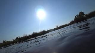 Wild swim at Highfield Moss Lowton - pt2