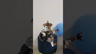 My Mexican cat #song #funnnyclips #funnyvideo #funnyshorts #meme #memes #memesdaily