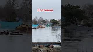 #казахстанживи