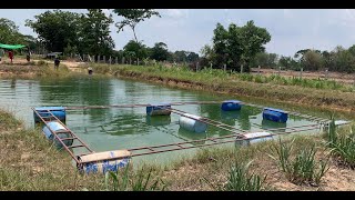 Fish Farm Floating Pens