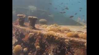 Carlisle Bay Wreck...