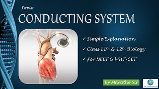 CONDUCTION SYSTEM OF THE HEART | ARTIFICIAL PACEMAKER | BIOLOGY TUTORIALS | NEET | MHT-CET