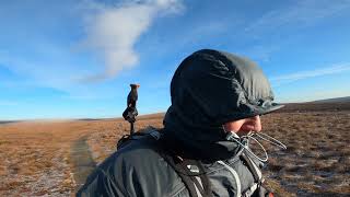 Lady Clough Moor, Snake Wood Jan 2022.