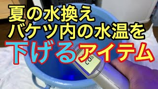 夏の水換え バケツ内の水温を下げるアイテム  海水水槽  淡水水槽