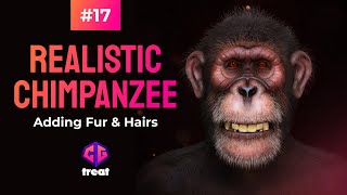 Master Zbrush: Realistic Chimpanzee Creation - Adding Fur & Hairs