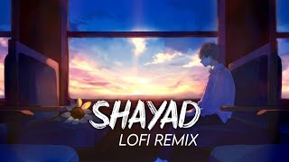 Shayad Lofi Remix || Arijit Singh || Lofi Remix | SR Lofi Vibes