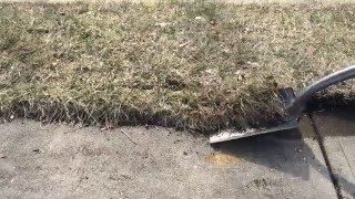 How to Edge Grass Along A Sidewalk or Walkway Quickly and Cheaply