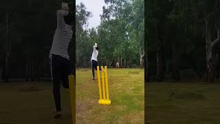 #cricket #cricketshots #batting #shorts #viral #ytshorts