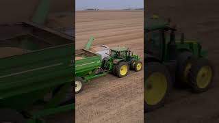 S770 Combining Beans #deere #farming #farmequipment #combining # #harvest2023 #tractor #johndeere