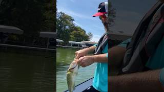 Fisherman cringe catch