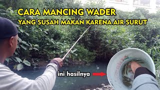 Cara mancing wader yang susah makan di sungai saat air surut - micro fishing #microfishing