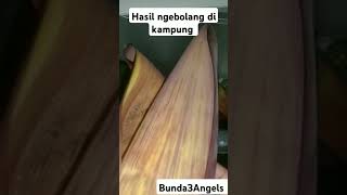 Hasil ngebolang di kampung part 4.#videoshort #emakviral #sayuran #hasil #ngebolang #dikampung