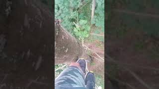 POV: Tarzan Irl