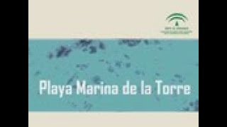 Playa Marina de la Torre (Mojácar, Almería)