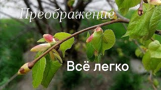 Всё легко. Переверните правило Парето