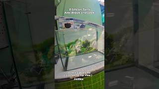 All India Delivery 📱2499rs  6355073975 #aquarium #freshwatertank