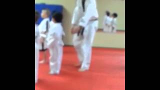 Taekwondo Gogo