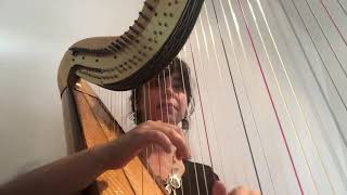 Path of the Wind from My Neighbor Totoro, harp cover